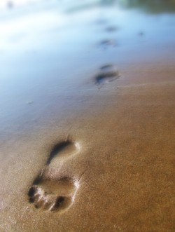 footprint in the sand